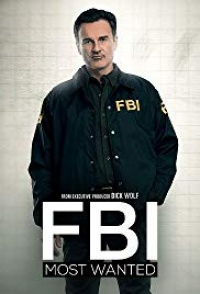 FBI Most Wanted Tv Series