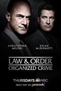 Law and Order - Organized Crime Tv Series