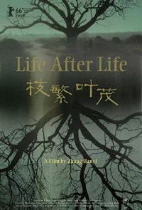Life After Life 2016 C Movie