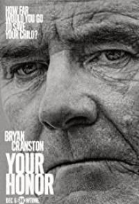 Your Honor Tv Series